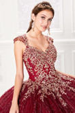 Quenn Anne Neckline Princesa Quinceanera Dress PR21964