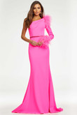 Feathered Long Sleeve Prom Dress by Ashley Lauren 11131 Feathered Long Sleeve Prom Dress by Ashley Lauren 11131