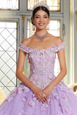 Off The Shoulder Vizcaya Quinceanera Dress 89341