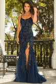 Lace Applique Rachel Allan Prom Dress 70275