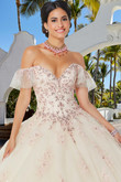 Embroidered Tulle Vizcaya Quinceanera Dress by Morilee 89365