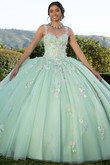 3D Floral Vizcaya Quinceanera Dress by Morilee 89424