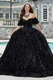 Sequin Strapless Valencia Quinceanera Dress by Morilee 60171