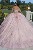3D Floral Valencia Quinceanera Dress by Morilee 60181