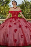 Floral Embroidered Valencia Quinceanera Dress by Morilee 60185