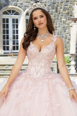 3D Butterfly Valentina Quinceanera Dress by Morilee 34084