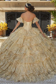 Embroidered Tulle Valentina Quinceanera Dress by Morilee 34094