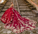 Lace V-Neck Princesa Quinceanera Dress by Ariana Vara PR30139