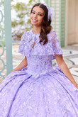Lace V-Neck Princesa Quinceanera Dress by Ariana Vara PR30139