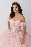 3D Lace Corset Bodice Quinceanera Fiesta Gown 56465
