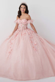 3D Lace Corset Bodice Quinceanera Fiesta Gown 56465