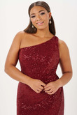 Dark Red Tiffany Designs Plus Size 16126 Prom Dress