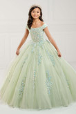 Off The Shoulder Tiffany Princess Dress 13747
