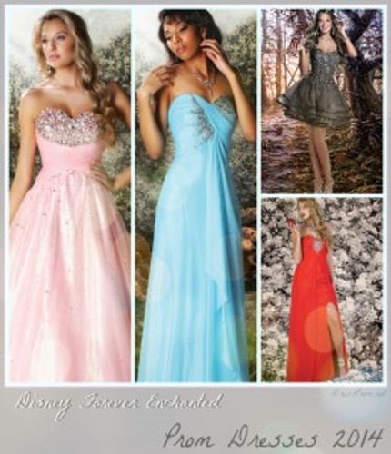 2014 Cinderella's Collection Catalog Cinderella's Gowns Lilburn GA - Metro  Atlanta