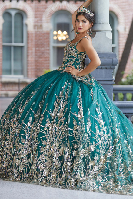 Quinceanera Dresses by Tiffany Designs - Quince Gowns