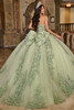 Rachel Allan RQ1132 Sage Lilac quinceanera gown back view with bow and train
