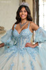 Rachel Allan RQ1133 glitter tulle bodice with lace appliques