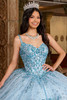 Rachel Allan RQ1136 sequin lace applique bodice detail
