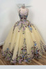 Ragazza EV-37-637 nude multi quinceanera dress with floral lace appliques front view