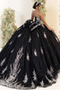 Black silver quinceanera gown with chapel train and oversized bow, back view