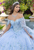 Sky blue sheer corset bodice with floral appliqué detail