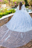 Sky blue quinceanera gown with cathedral cape train, back view