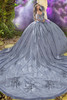 Slate blue quinceanera gown with sweeping train and floral details, back view