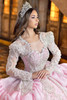 Ivory and pink crystal-beaded lace bodice with sheer sleeves