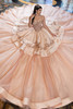 Almond blush quinceanera gown with glitter tulle train, overhead view