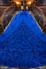Royal blue quinceanera gown with dramatic floral train, back view