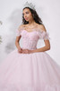 Pale pink drop waist corset bodice with 3D floral appliqués