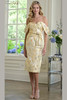 Front view of light gold Rina di Montella RD244 floral jacquard dress