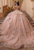 Rose gold glitter tulle ball gown with detachable floral bow, back view