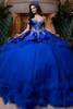 Vizcaya 4080007 regal royal silver cat eye quinceanera ball gown, front view