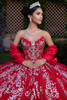 Red silver cat eye bodice with crystal-encrusted appliqués, front detail
