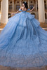 Bahama blue glitter tulle ball gown with detachable glitter bow, back view