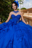 Regal royal crystal-encrusted bodice with detachable illusion neckline, front detail