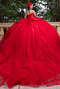 Red tulle ball gown with detachable satin double-loop bow, back view