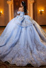 Light blue silver glitter tulle ball gown with detachable matching bow, back view