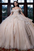 Vizcaya 4080017 champagne nude butterfly quinceanera ball gown, front view