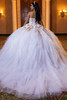 White gold layered glitter tulle ball gown, back view