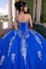 Regal royal silver lace-up corset back with glitter tulle ball gown, back detail
