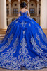 Regal royal silver glitter tulle ball gown with detachable matching back bow, back view