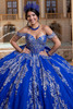 Regal royal silver crystal corset bodice with cat eye neckline and chandelier sleeves, front detail