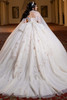 Champagne ivory glitter tulle ball gown with detachable cape, back view