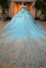 Seafoam silver glitter tulle ball gown with detachable matching back bow, back view