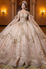 Vizcaya 4080028 champagne metallic lace quinceanera ball gown, front view