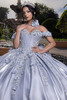 Silver scoop neckline bodice with 3D floral appliqués and detachable sleeves, front detail
