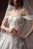 Sottero and Midgley Petra Wedding Gown