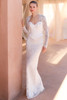 Pronovias Aniou Wedding Gown